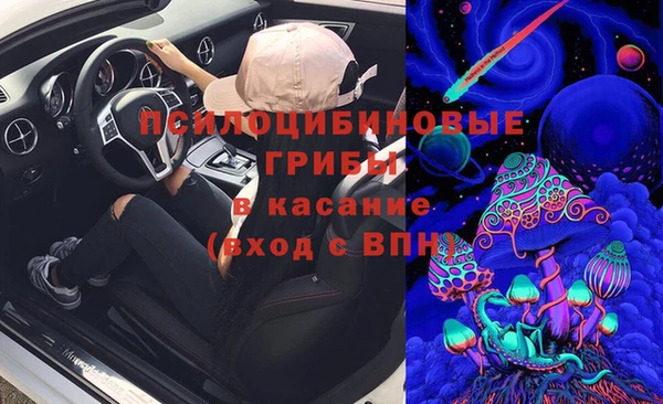 стафф Заволжск