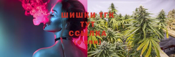 стафф Заволжск