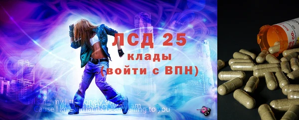стафф Заволжск